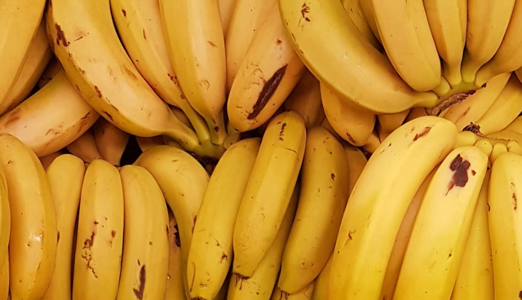 Pecinta Pisang Wajib Coba! 4 Olahan Sehat yang Enak dan Bikin Nagih